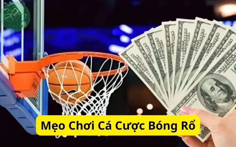Khám phá keonhacai và cập nhật tỷ lệ keonhacai chuẩn xác hôm nay